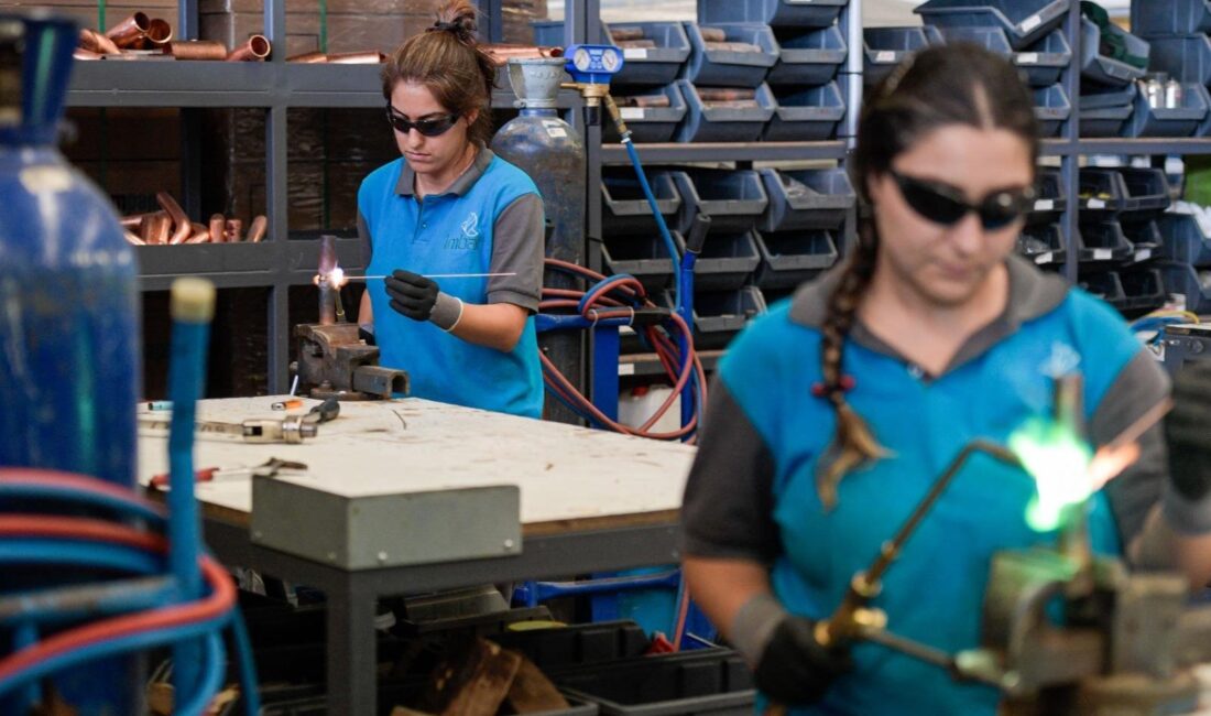 İzmir Büyükşehir Belediyesi Kadın Çalışmaları Şube Müdürlüğü, kadınların kentte karşılaştığı