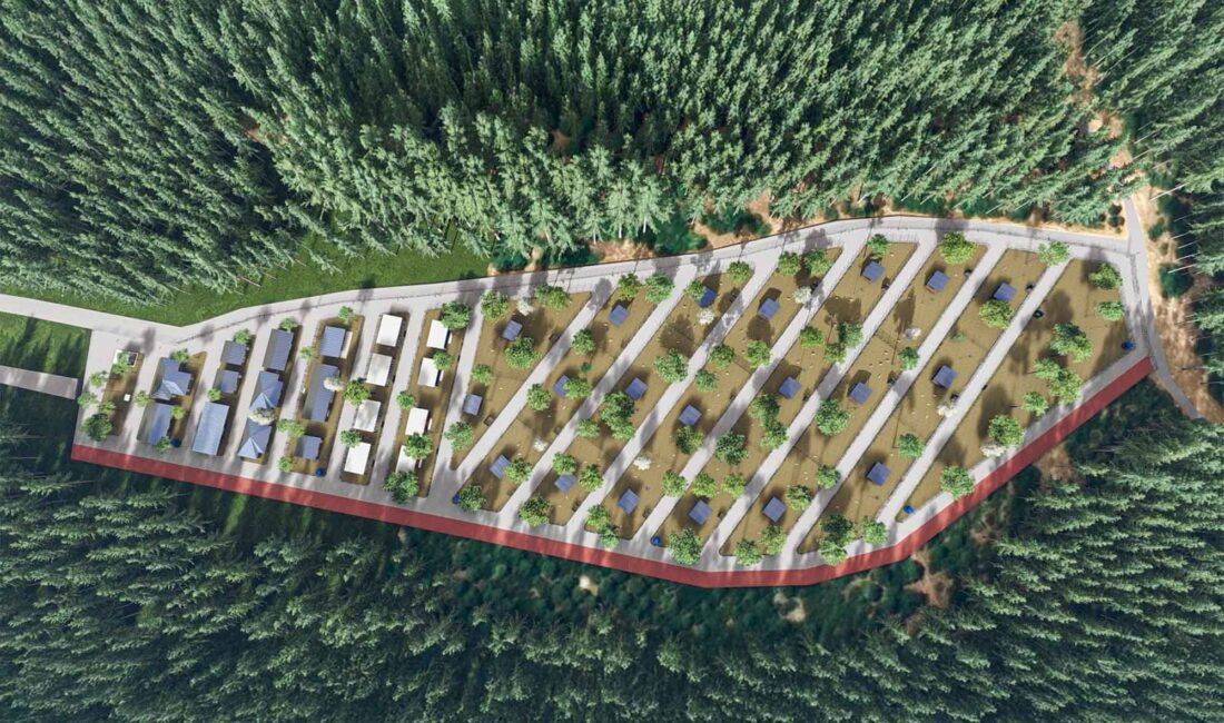 Kemalpaşa Belediyesi, 1.800 sokak hayvanı kapasiteli modern doğal yaşam alanıyla