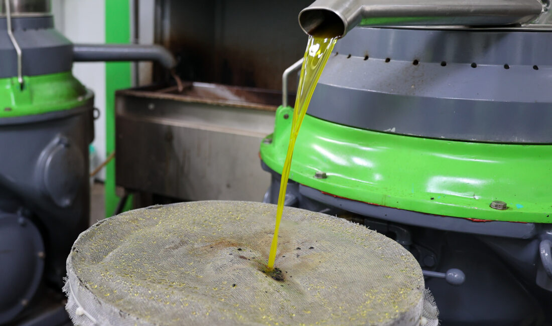 Buca’da dayanışma için hasat zamanı
