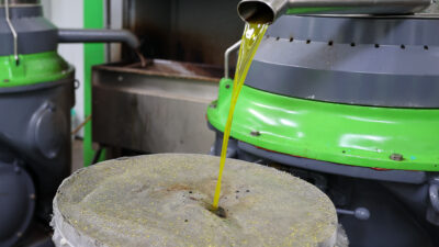 Buca’da dayanışma için hasat zamanı
