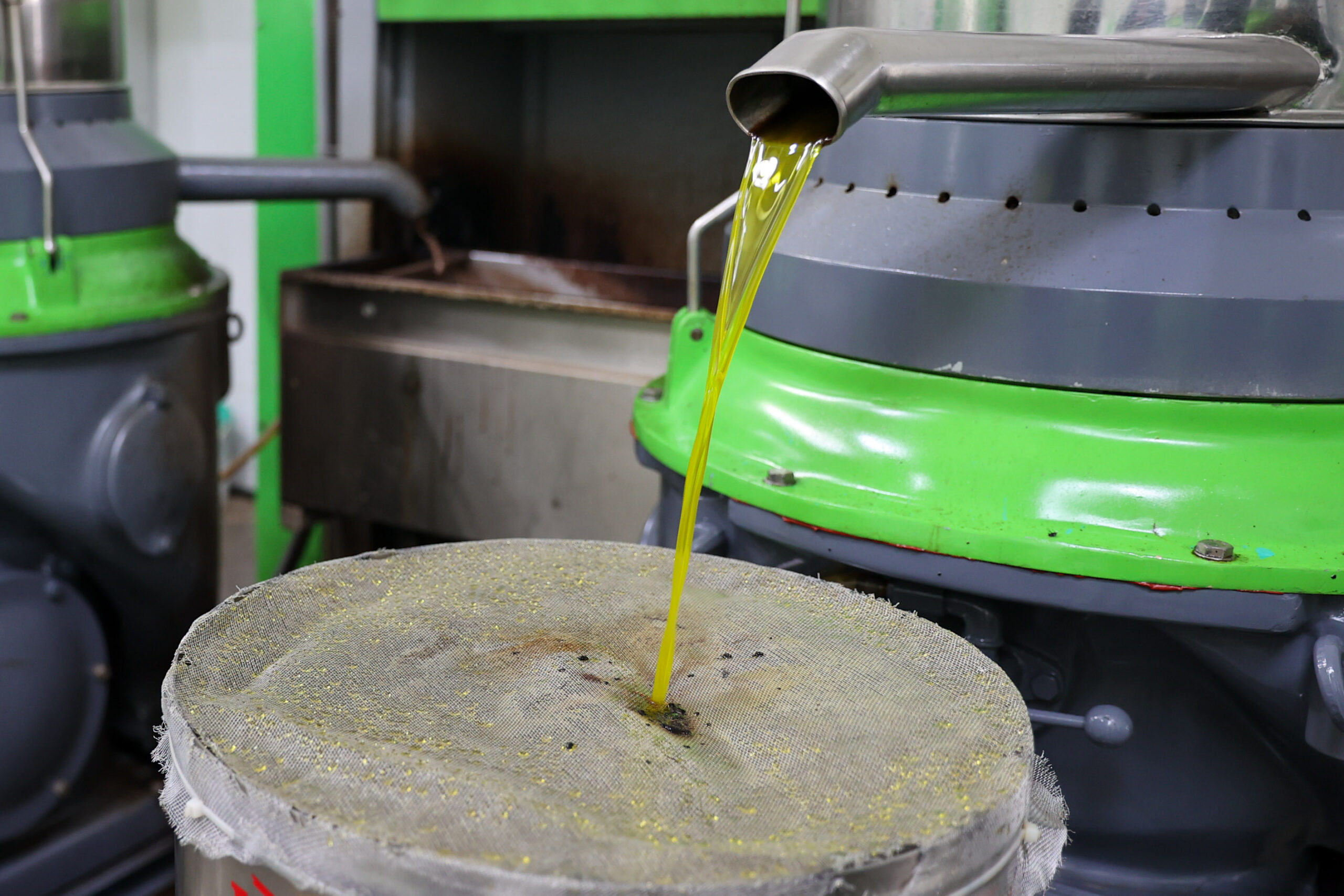 Buca’da dayanışma için hasat zamanı
