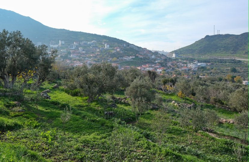 Tarımı destekleyici projeleriyle birçok örnek hizmete imza atan Menemen Belediyesi,