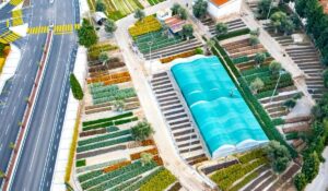 İzmir Büyükşehir Belediyesi’nin fidanlıklarında yetiştirilen onlarca bitki türü, kentin yeşil