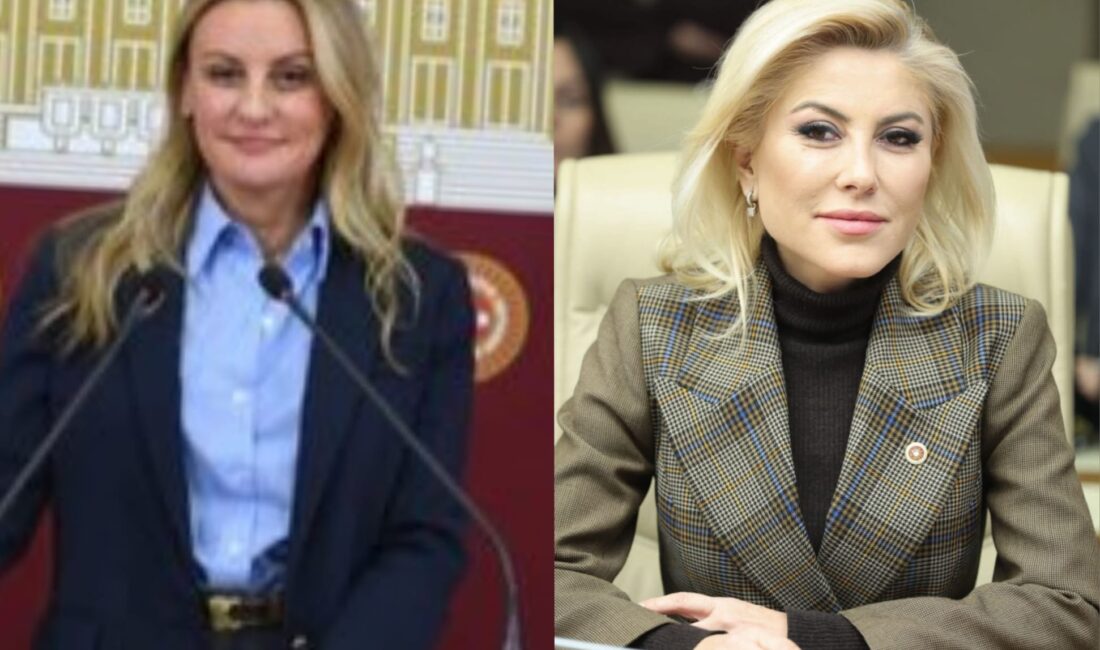 HABER/Sait TEMUR AKP’li Vekil hayali yatırımları sıraladı. CHP’li Vekil “Pes”