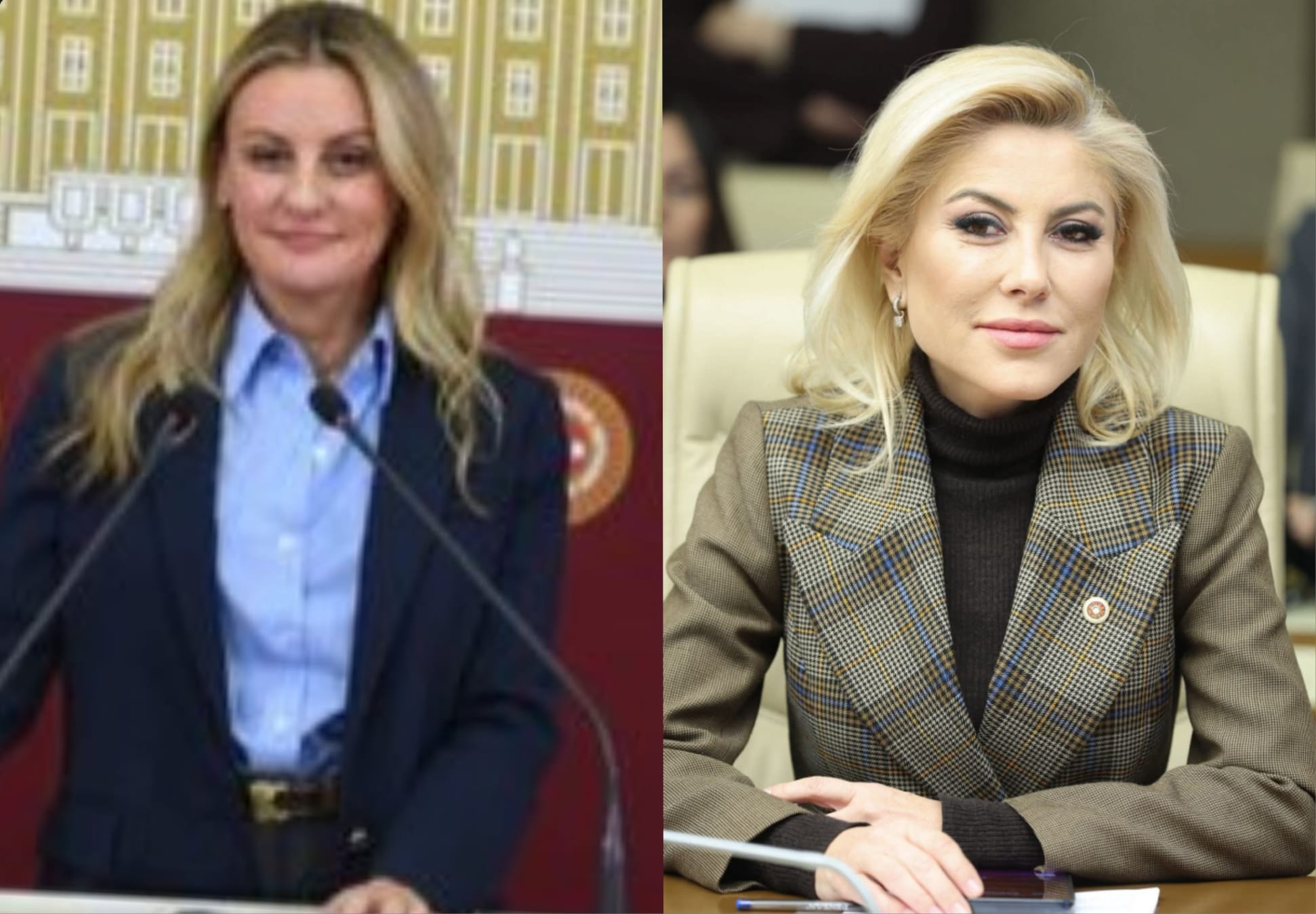 HABER/Sait TEMUR AKP’li Vekil hayali yatırımları sıraladı. CHP’li Vekil “Pes”