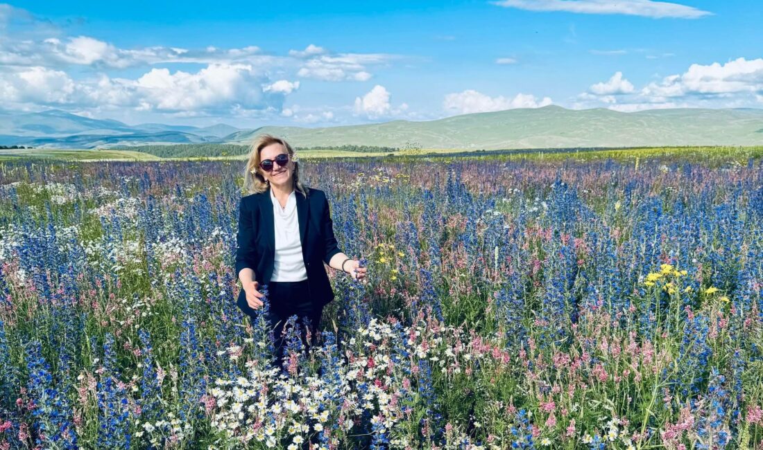 HABER/Sait TEMUR Ahmet Demirbaş Avukat Müzeyyen Çiftçi’yi yazdı. Göçün Karşısında