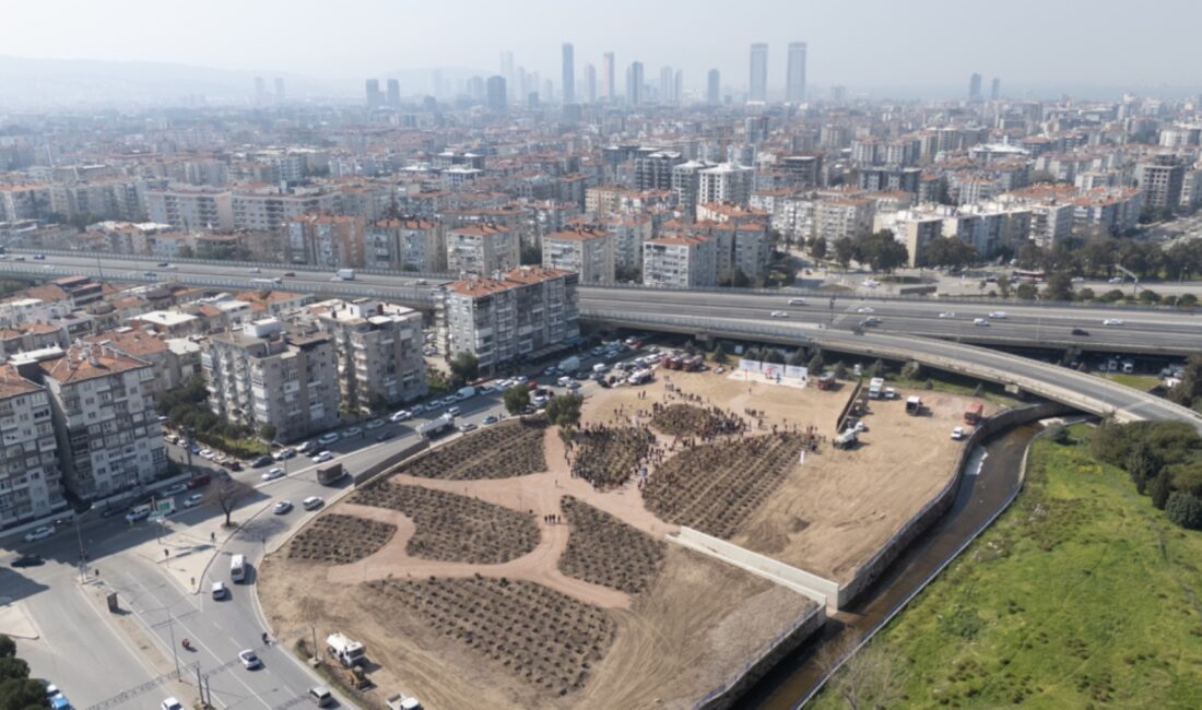 "Bornova’ya 8 bin metrekarelik mikro orman"