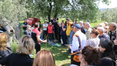 Seferihisar’da zeytin üretimini desteklemek amacıyla, Seferihisar Belediyesi İklim Değişikliği Müdürlüğü