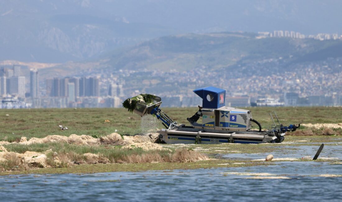 İzmir Körfezi’nde özellikle Gediz Nehri ve Ağıl Deresi üzerinden taşınan
