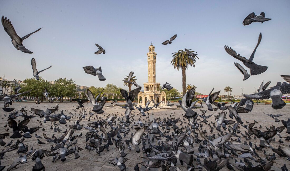 İzmir Büyükşehir Belediyesi, “İki Çizgi Arasında: Geleceğin İzmir’ine Bugünden Bir