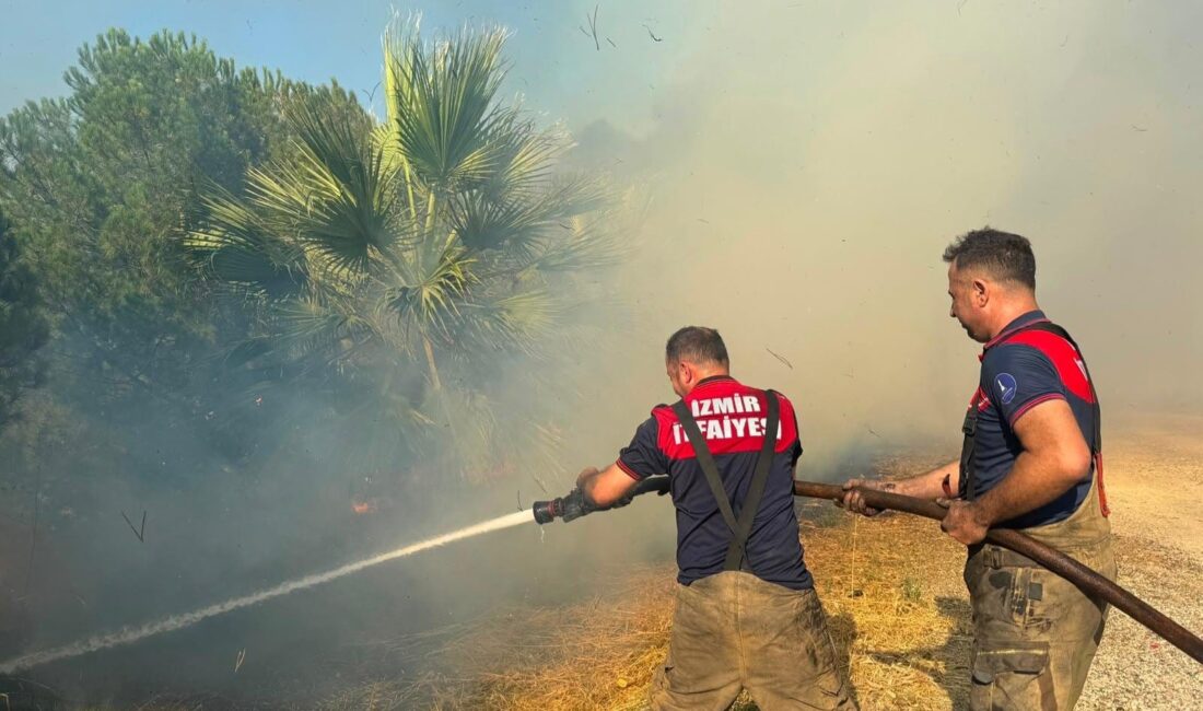 Ege Kritik/Sait TEMURİzmir’in Menemen ilçesine bağlı Maltepe Mahallesi Serbest Bölge