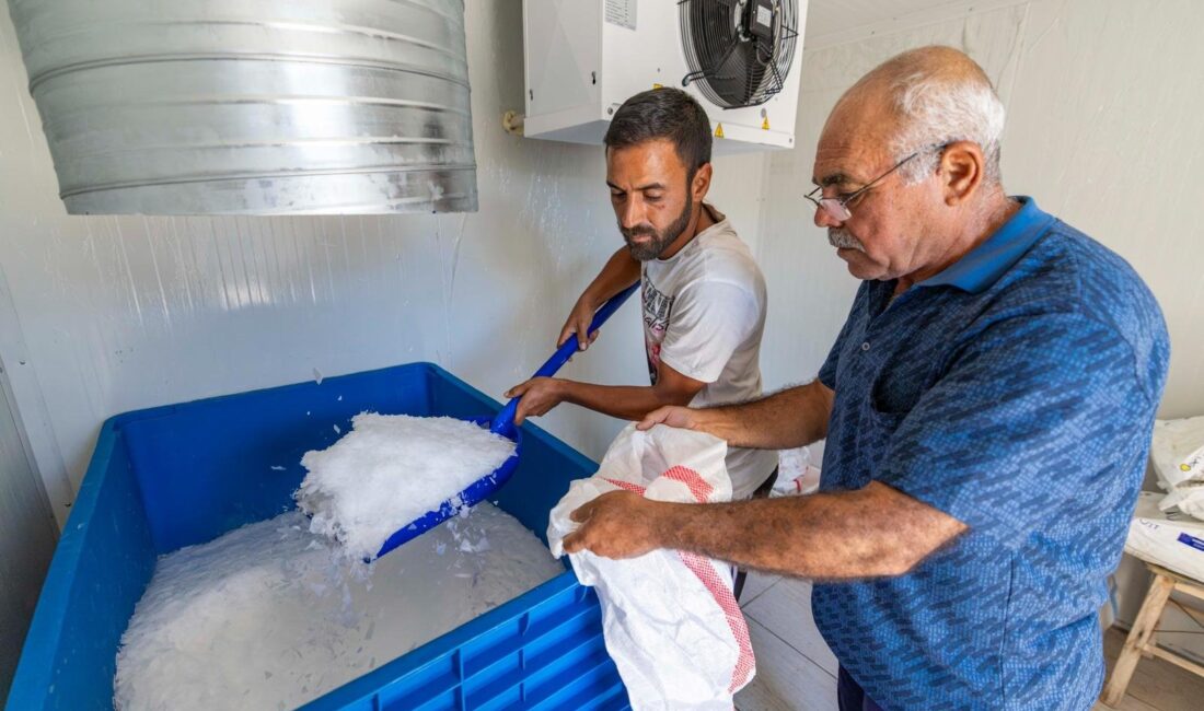 Kooperatiflere kazandırılan yaprak buz makineleri sayesinde kıyı balıkçıları hem zamandan