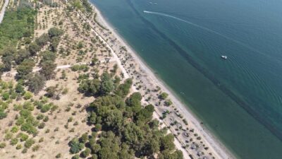Ege Kritik/Sait TEMURİzmir Büyükşehir Belediyesi, İnciraltı Kent Ormanı’nda kapsamlı yenileme