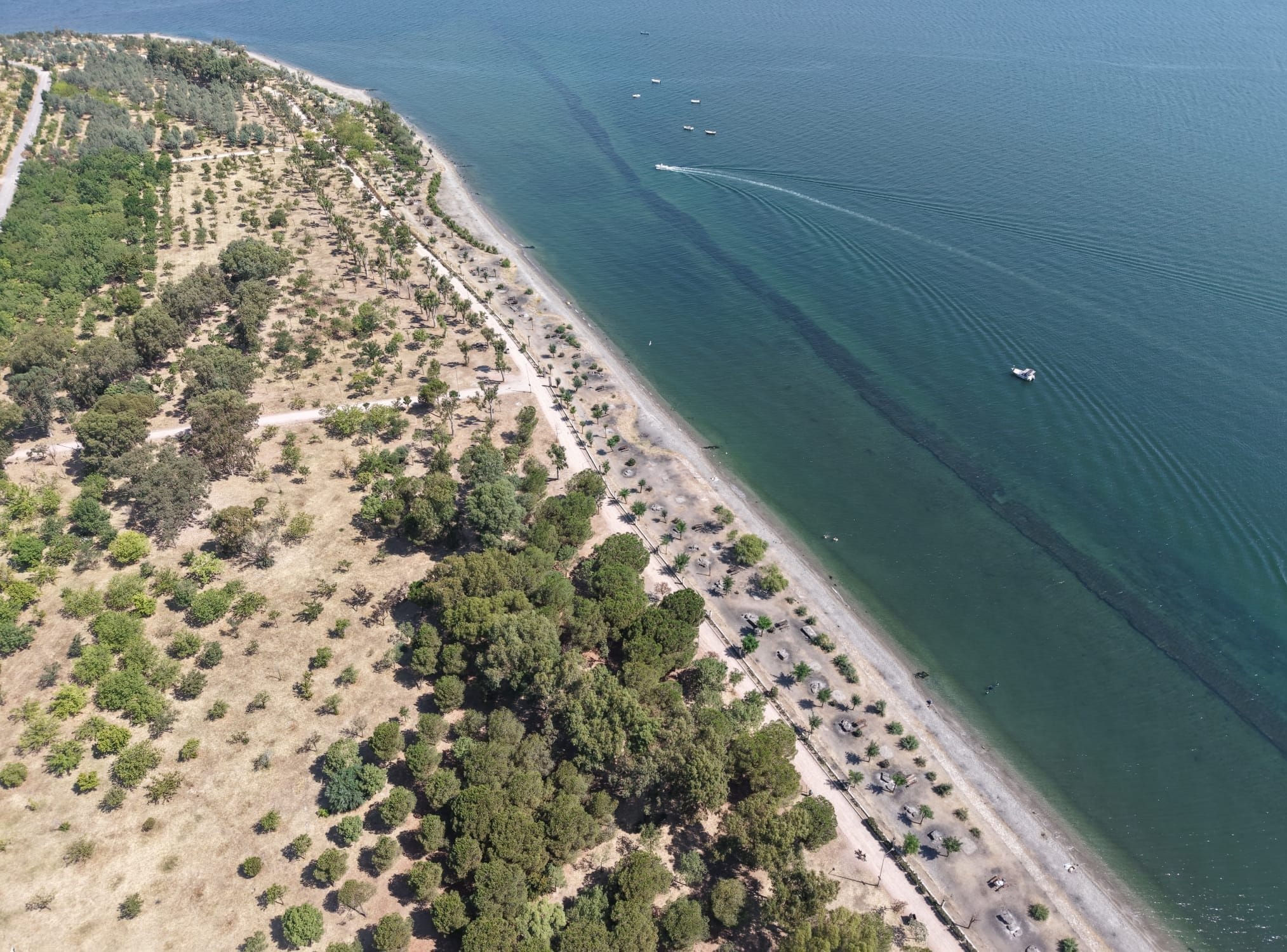 Ege Kritik/Sait TEMURİzmir Büyükşehir Belediyesi, İnciraltı Kent Ormanı’nda kapsamlı yenileme