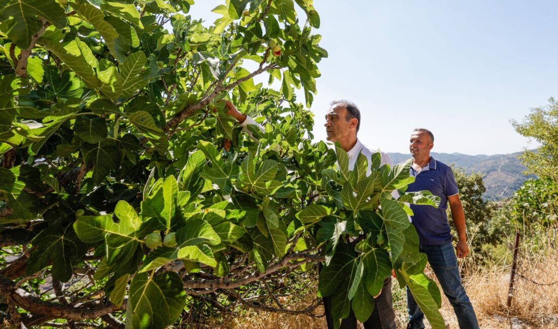 İzmir Büyükşehir Belediyesi yetkilileri, Tarım Master Planı verileri doğrultusunda kırsal