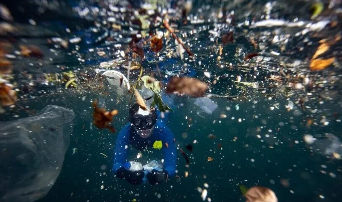Sıfır Atık Vakfı koordinasyonunda Adana’da düzenlenen şehir toplantısında, plastik atık