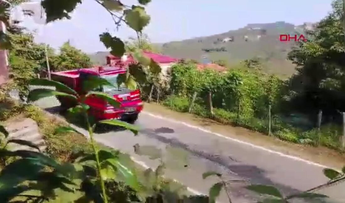 Giresun'un Piraziz ilçesi Deregözü mevkiinde yüksek gerilim hattı çalışması yaptığı
