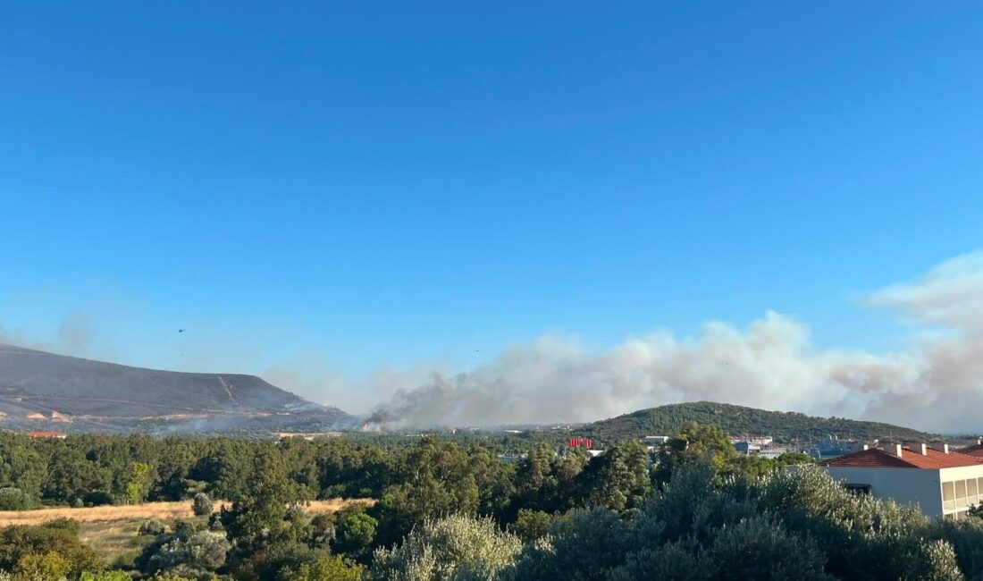 Ege Kritik/Sait TEMURİzmir’in Foça ilçesinde Foça Deniz Üs Komutanlığı civarında
